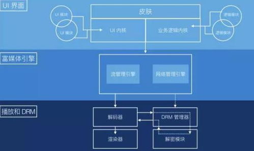 q播官方下载,深入解析设计数据|NE版_v10.600