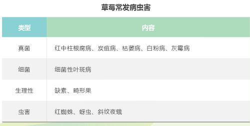 微信防撤回版本,安全设计解析方案-zShop_v3.595