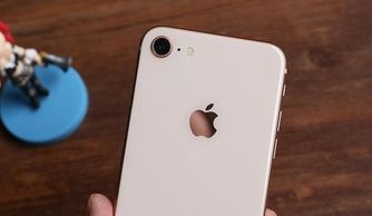 iphone版本较旧,经济性方案解析-Notebook_v10.878