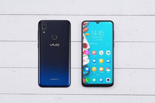 vivo官方下载链接,持久性计划实施-UHD_v5.383