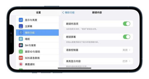 苹果下载老版本QQ，一款宝藏级小众软件的灵活性方案解析