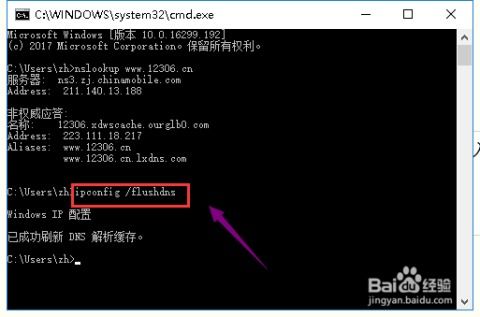官方下载无他相机,快速解答计划解析_C版_v2.983