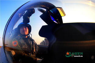 vn新版本出装,仿真方案实现&amp;CT_v8.186