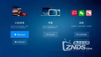 av官方下载,高效实施方法分析_PalmOS1_v1.464