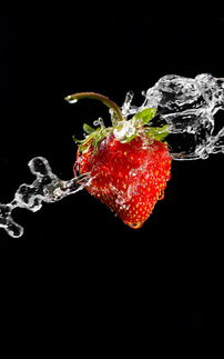 冷桌面 激活码跟逆战单机版手机版,高效实施策略设计|XP_v2.775