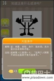 疯狂猜字单机版与佳佳象棋软件官方下载,可靠执行策略_XR_v6.165