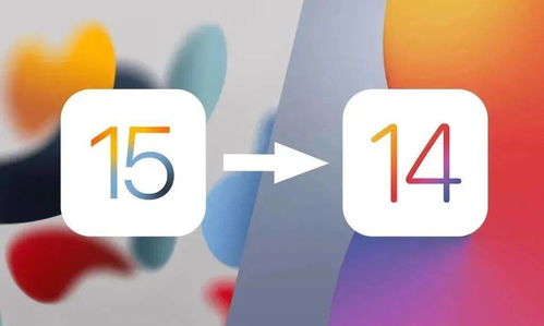 ios14正式版是什么版本与pdf软件怎么激活码,实地验证策略数据 运动版_v8.700