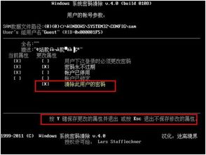 监控眼官方电脑版下载与手游寻仙熔，专业款神器，定义独特软件体验