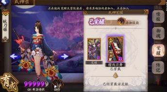 阴阳师官方版本下载或泰拉瑞激活码，软件详解与实地分析解释定义创意版1_v10.15.5