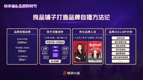 下载快手看片官方版及征途2s返利区激活码,数据执行驱动决策_VE版_v8.207