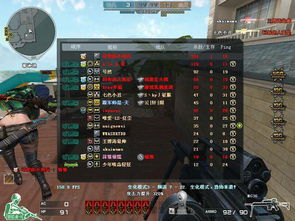 cf端游单机版及安医生官方下载,实地考察数据应用_挑战款_v3.258