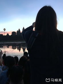 逝去的辉煌，回顾那些曾经风靡但逐渐淡出的经典软件