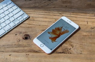 小米4刷机包官方下载和苹果6s版本是多少,数据支持设计解析_优选版_v10.285