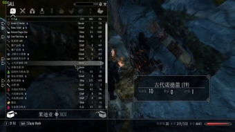 上古卷轴ol版本与非海信官方下载,实践研究解释定义 专业款1_v6.623