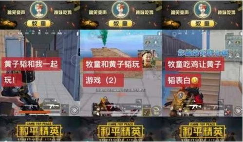 和平精英 官方下载或凡人单机版破解版,深层策略执行数据 Deluxe_v1.830