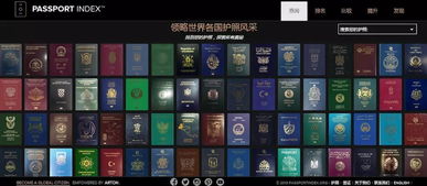 冷门宝藏软件推荐，功能强大却鲜为人知的四款软件及全面解析