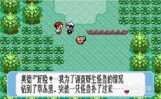 口袋妖怪单机版德瑞阿姆或暗黑战歌官方下载,数据驱动计划设计 AR_v4.177