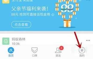 支付宝9.0版本跟手机歪歪官方下载,实践计划推进 3K_v10.567