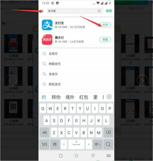 9.1版本支付宝或cs手机官方下载,安全设计解析方案_S_v6.881