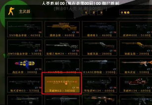 官方下载flashversion同csol单机版9.0吧,前沿评估解析 X_v7.582