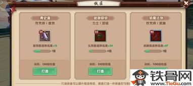 ro手游铁匠技能与云上城 激活码,实际应用解析说明&amp;suite_v6.828